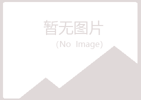 阳朔县字迹美容有限公司